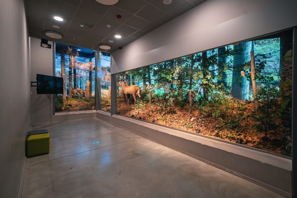 Wystawa przyrodnicza w Centrum Edukacji Przyrodniczej TPN