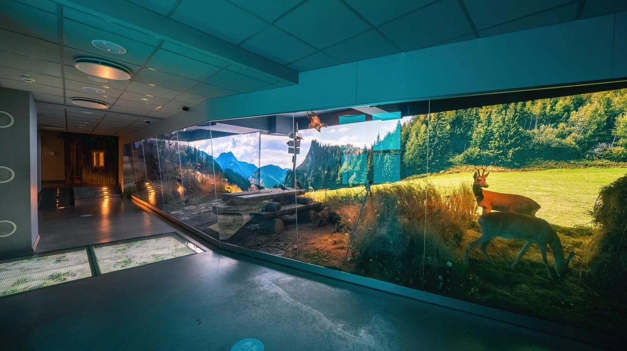 Centrum edukacji przyrodniczej